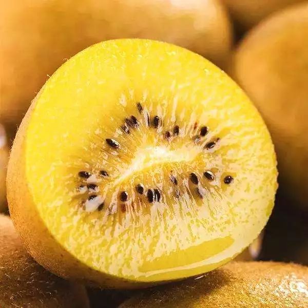 880力荐丨满满维C智利进口金果!现在下单仅需:39.8元/箱(12颗)包邮到家