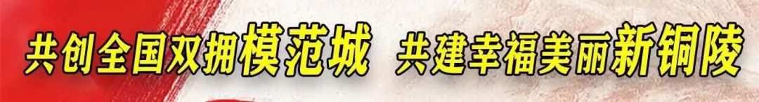 2021年铜官区小学招生计划表,铜官区2021小学报名