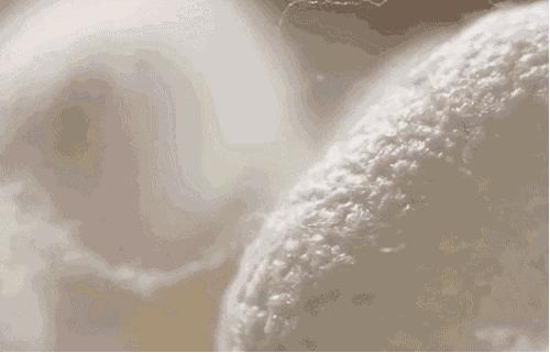 棉花被好还是蚕丝被好,棉花被和棉花被哪个好