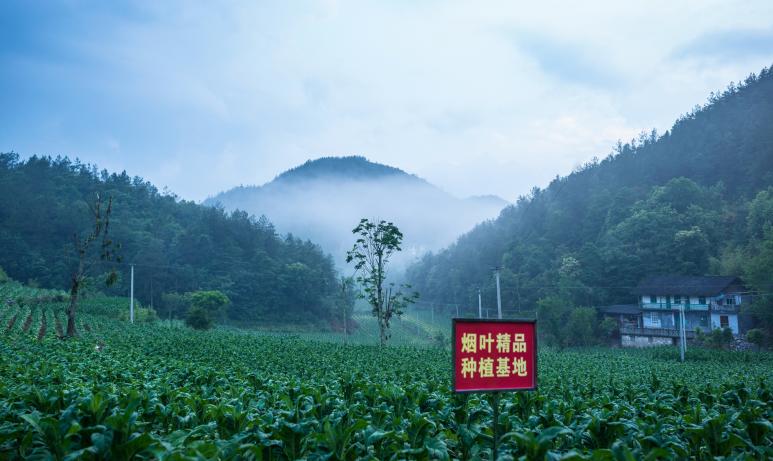 抓党建促脱贫乡村振兴思路,抓党建促乡村振兴典型案例
