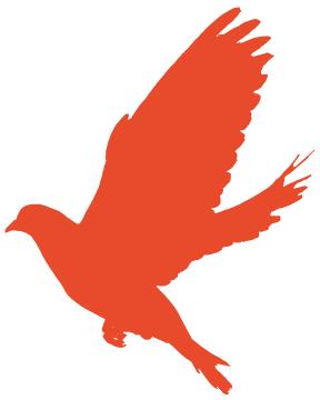 英国进口红茶代购,进口红茶代理