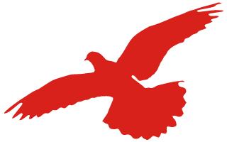 中国航天科技和航天科工最全介绍,中国航天一路的坎坷