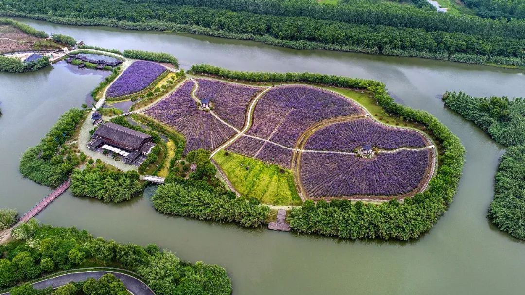 沙家浜风景区十一月免费门票,沙家浜景区双人门票