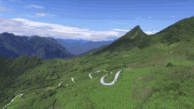 孩子挑食不吃饭小偏方,小孩挑食不吃饭的方法