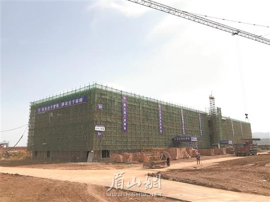 眉山国际盛会什么时候开,国际峰会发展趋势