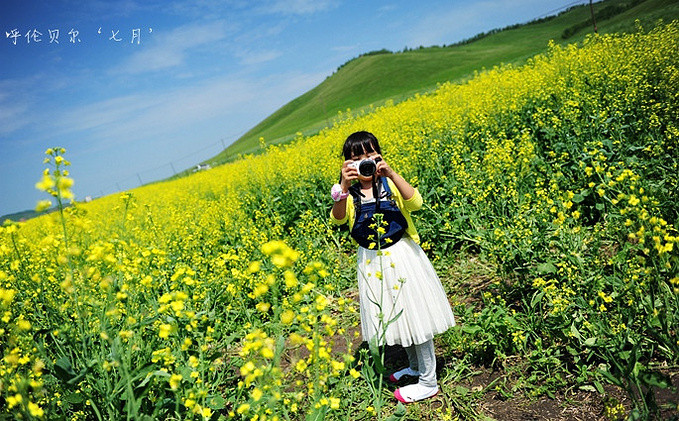 去呼伦贝尔旅游详细攻略,呼伦贝尔吃住行攻略