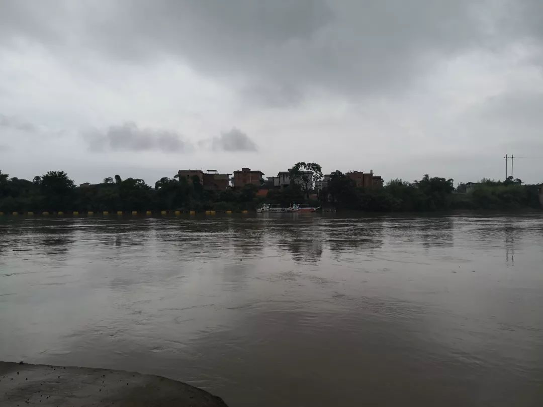 那位让习总书记念念不忘的红军师长陈树湘，到底有着怎样的故事？