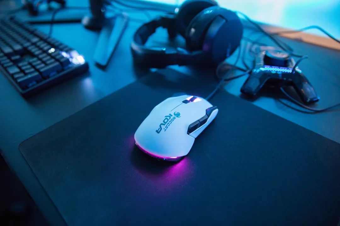 蛇吞象一年的收入,蛇吞象收回成本