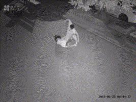 大连暴打女子事件后续,大连深夜暴打女子处理结果