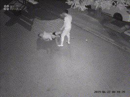 佛山高速收费站全改成ETC车道；直系亲属继承房产不征收个人所得税|听佛山