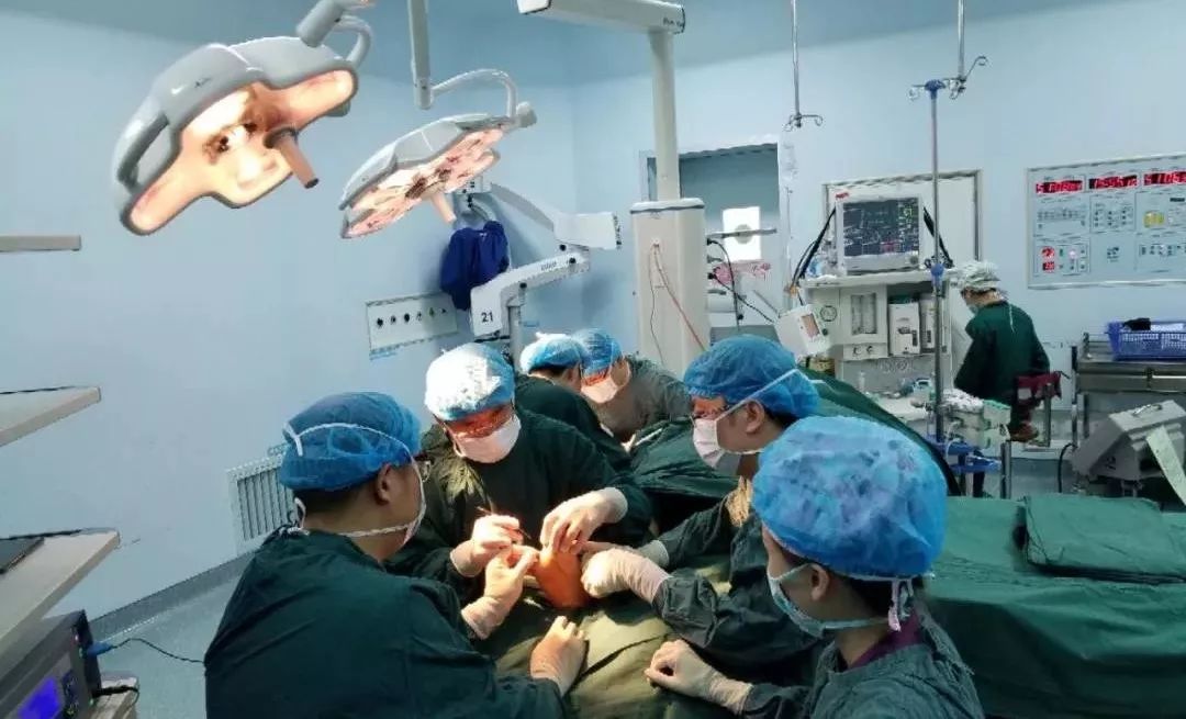 退休后职称有用吗最新规定石家庄,石家庄最新的人事调整