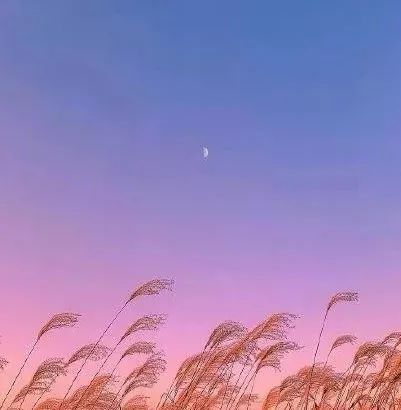 一个人的核心竞争力是什么,一个人的核心竞争力的四个标准