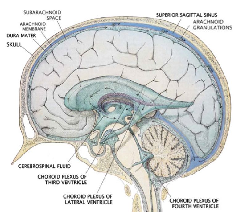 维生素c吃多,维生素表面有点点还可以吃吗