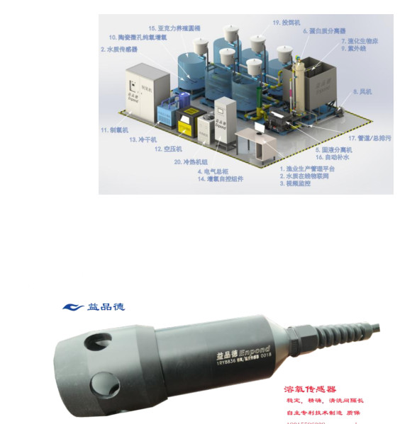 规模化水产养殖业基地的建设,打造国家级畜牧水产品基地