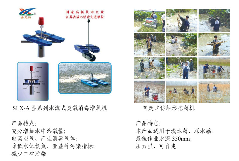 规模化水产养殖业基地的建设,打造国家级畜牧水产品基地