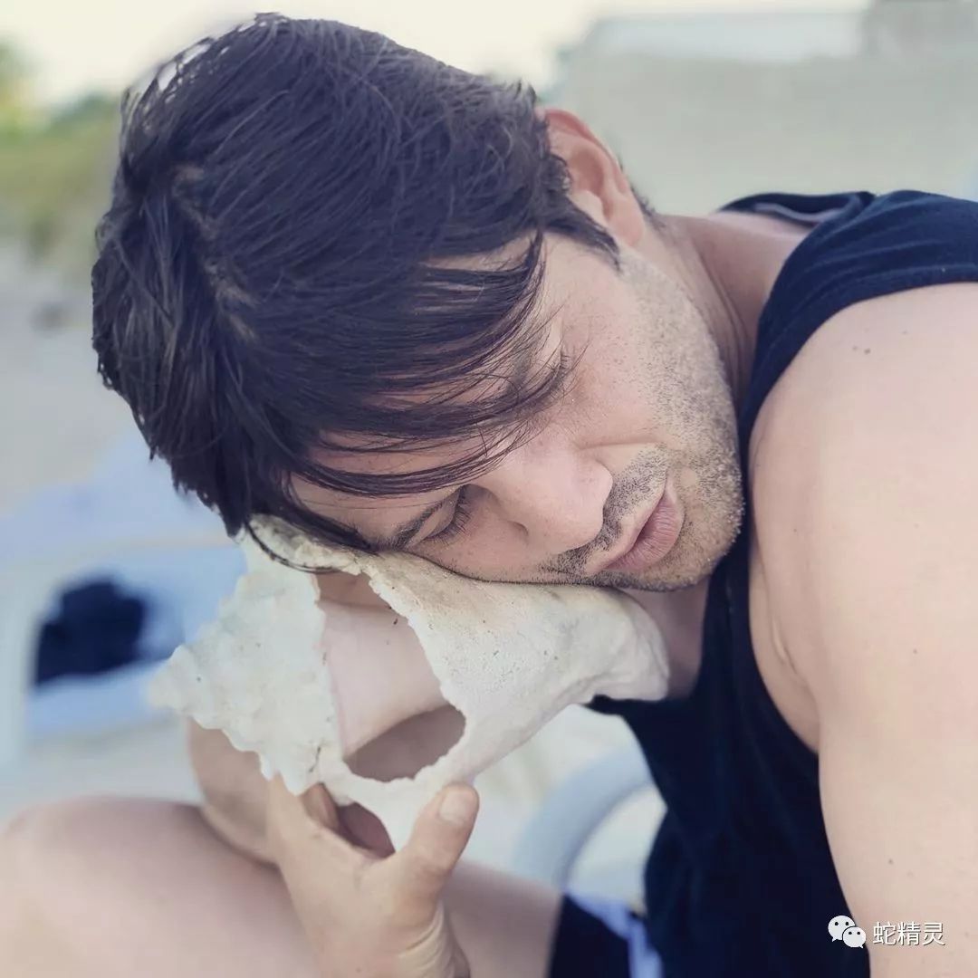 蓝黑转会,蓝黑军团最新信息