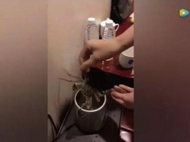 折叠旅行水壶便携烧水壶,新款折叠电水壶差旅神器方便携带