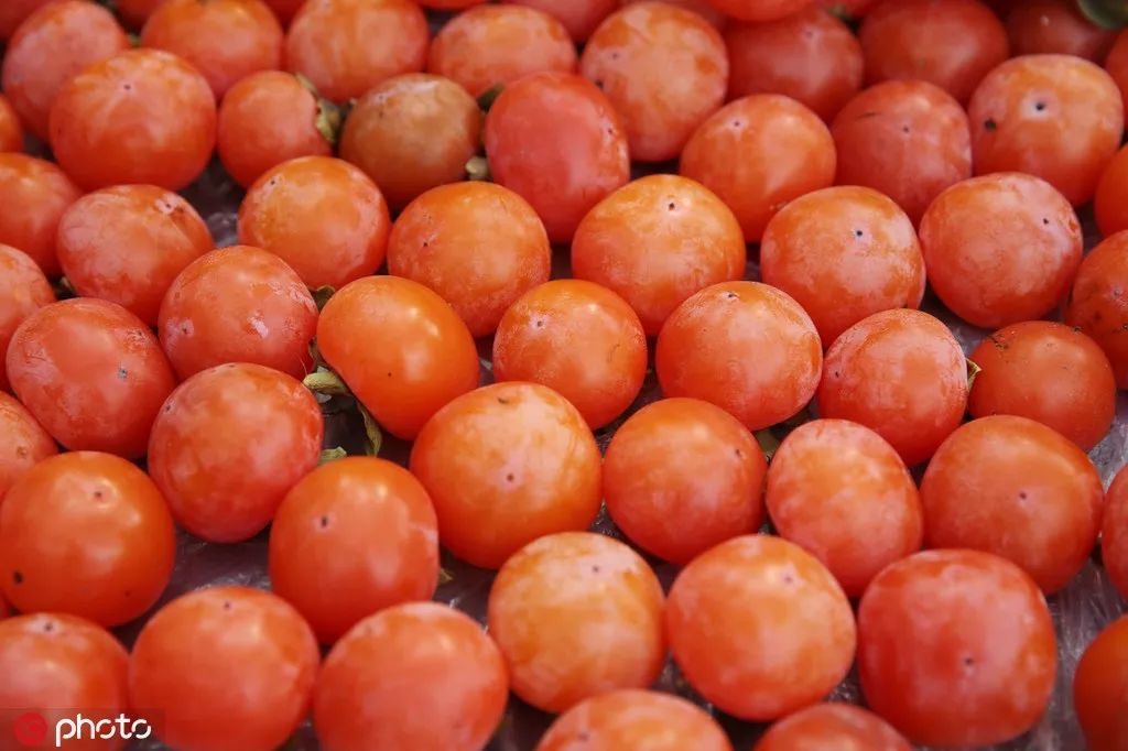 火晶柿子水盆羊肉第几集,火晶柿子羊肉泡馍