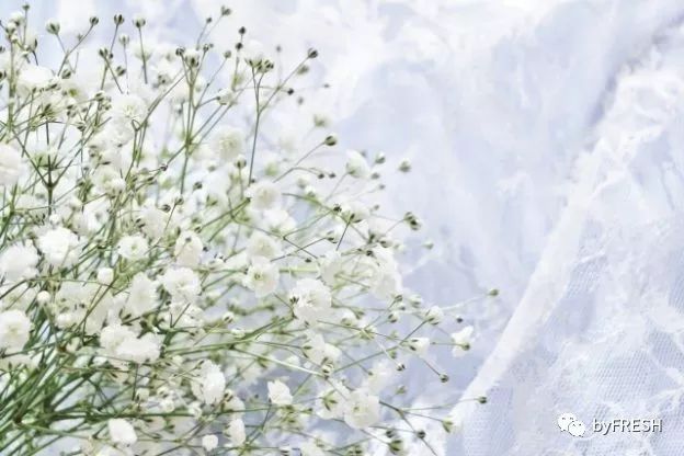 不想上班不想工作只想呆在家里,不想上班不想工作只想享福