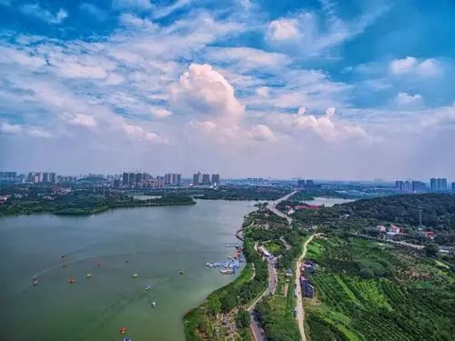 世外桃源武汉,武汉世外桃源旅游攻略