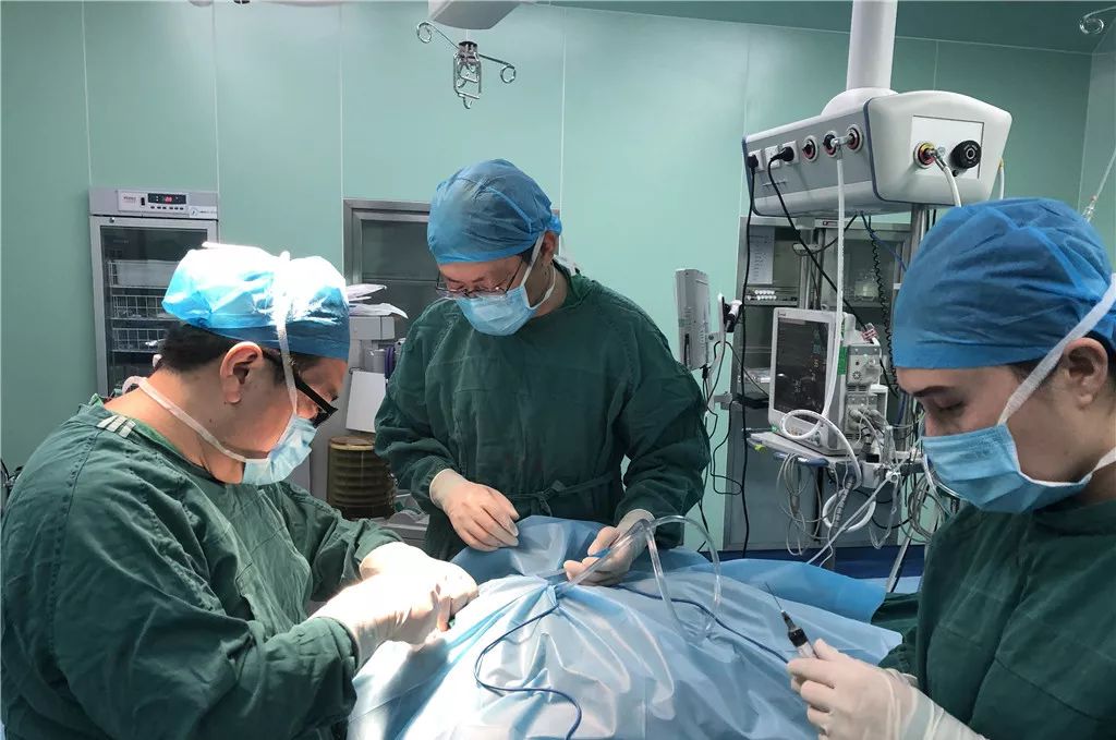 ta们这次*疆新**行，300个唇腭裂孩子微笑不再是奢望