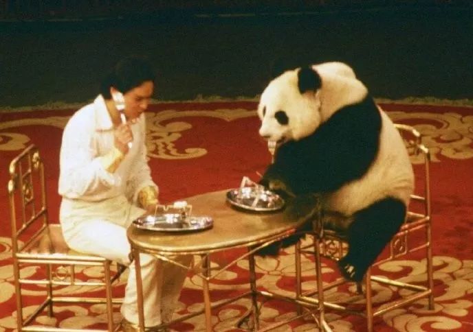 陕西路上海杂技场地址,上海杂技场