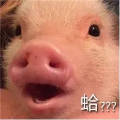 科普为什么垃圾要分类,科普垃圾分类图片