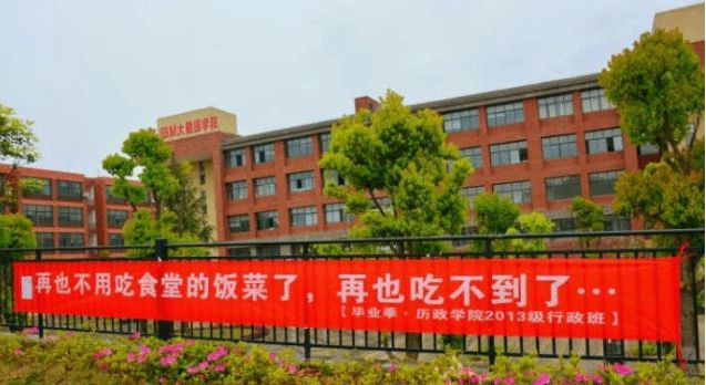 催人泪下的毕业横幅,本科毕业典礼横幅