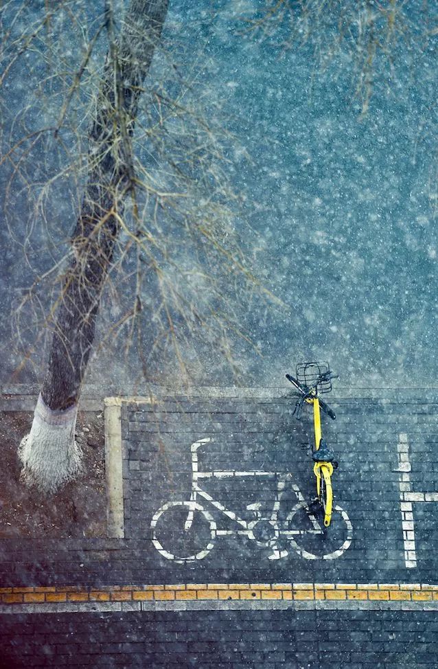 ofo的江湖救急新闻,ofo的故事