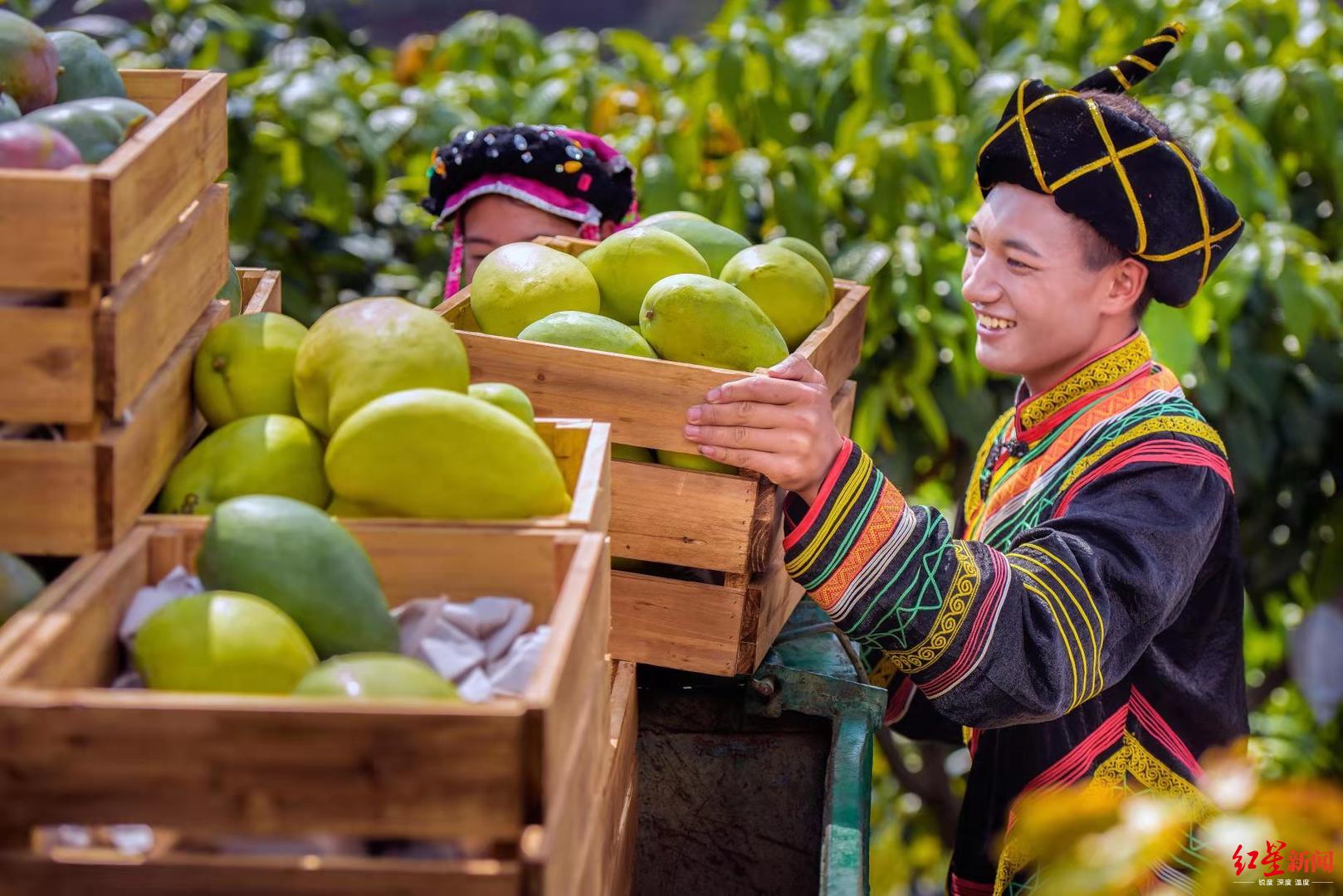 避暑景区特价门票,攀枝花游玩门票特价