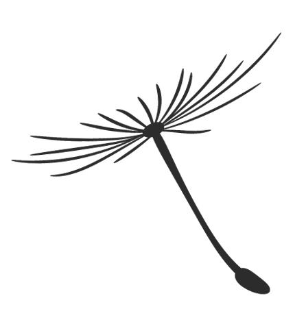 医大一院口腔科金星,哈医大附属一院口腔科