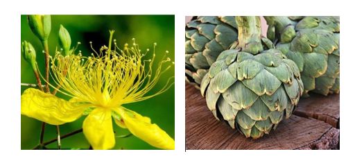 最好的修复膏,亲测好用的修护万能膏