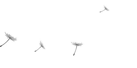 南翔生活日常,南翔适合生活吗