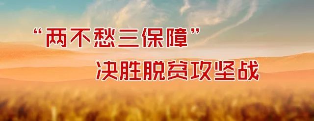 浠水县委书记黄强胤,浠水书记黄强