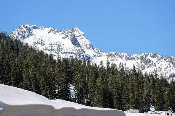 佳能r6和索尼a7m3和尼康z6,索尼a7m324-105和尼康z6