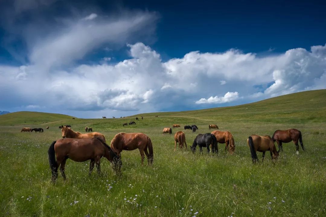 张掖的由来,什么是张掖