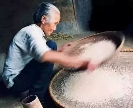 米里发现小黑虫,家里米缸里有黑色虫子如何消灭