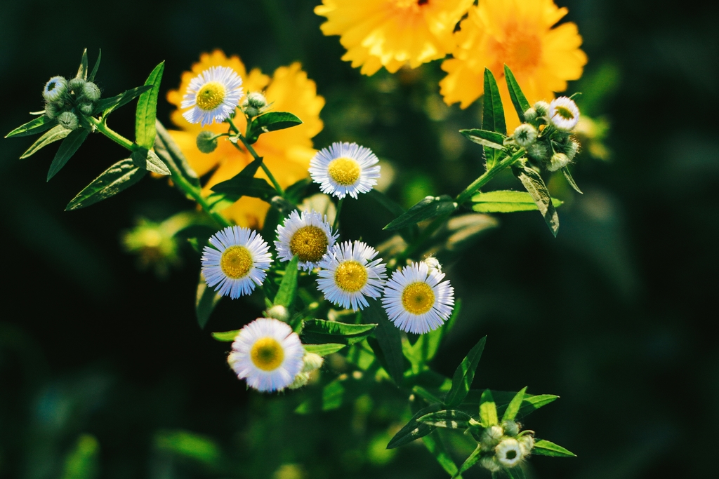 500元购买佳能m50,网购100元电脑开箱