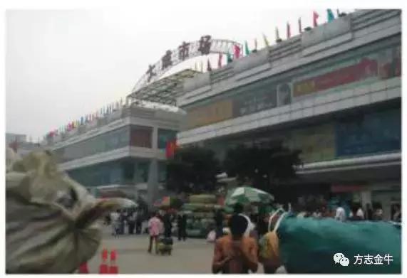 新发荷花池,新荷花池