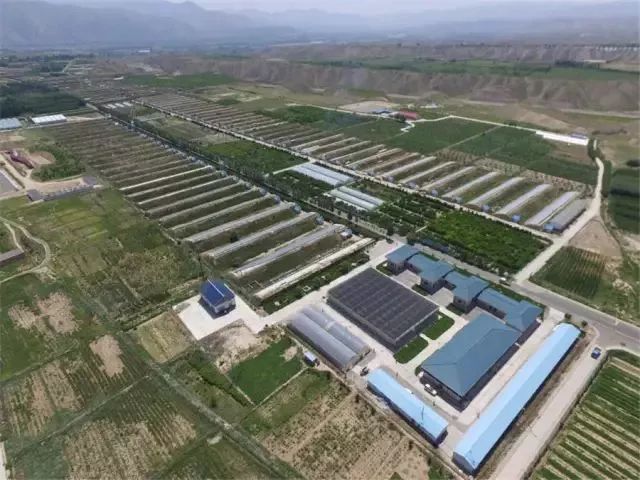 白银市区到大坪花海,去大坪玩攻略