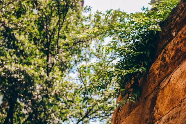 佛山市七星岗闹鬼的真实原因,重庆七星岗闹鬼真相揭秘