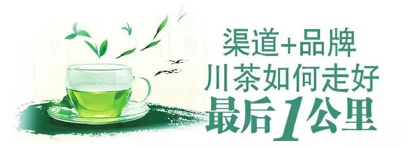 川茶集团的发展前景,川茶行业的发展趋势