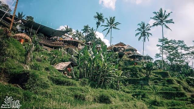 南纬八度.又见BALI