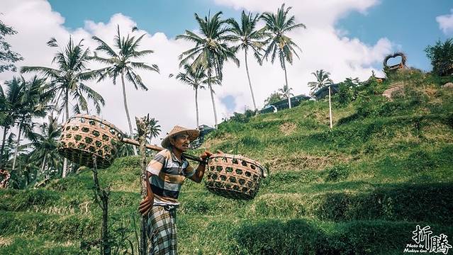 南纬八度.又见BALI