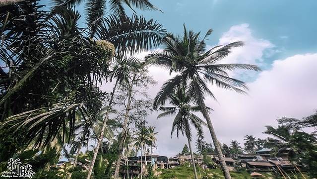 南纬八度.又见BALI