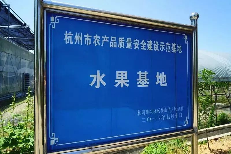 连阿里巴巴都点名！拿奖拿到手软的“葡萄王”来了~入园采摘，尽享千元农家菜