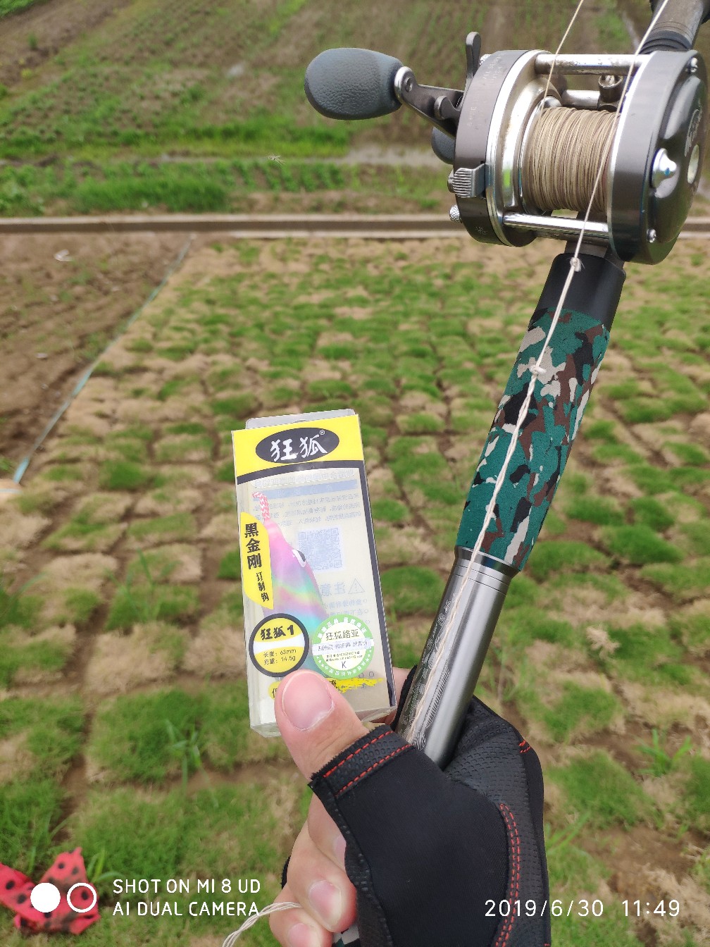 黑鱼钓上岸了怎么办,黑鱼新手