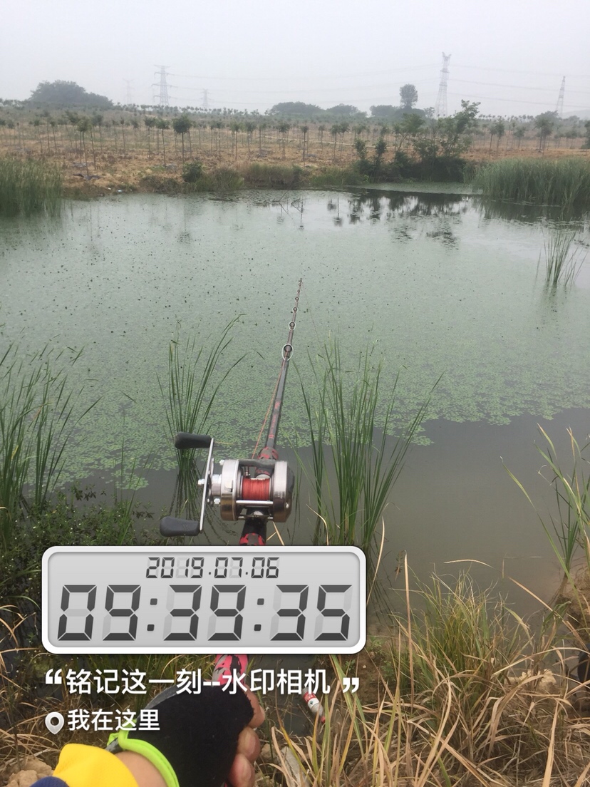 雷强2020年视频,2019雷强视频