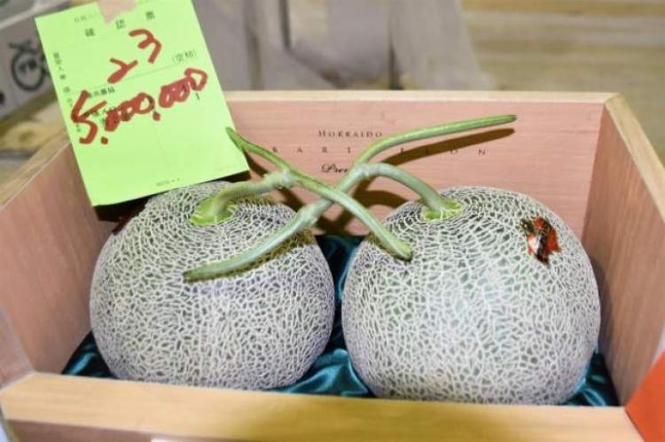 日本最贵的葡萄是什么葡萄,日本水果葡萄多少钱一串