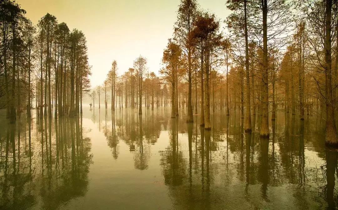 你好绍兴地铁,你好绍兴